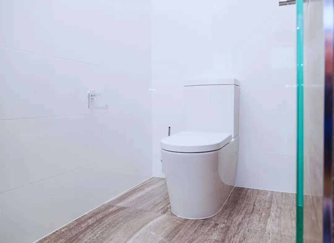 Remplacement de wc Sillingy